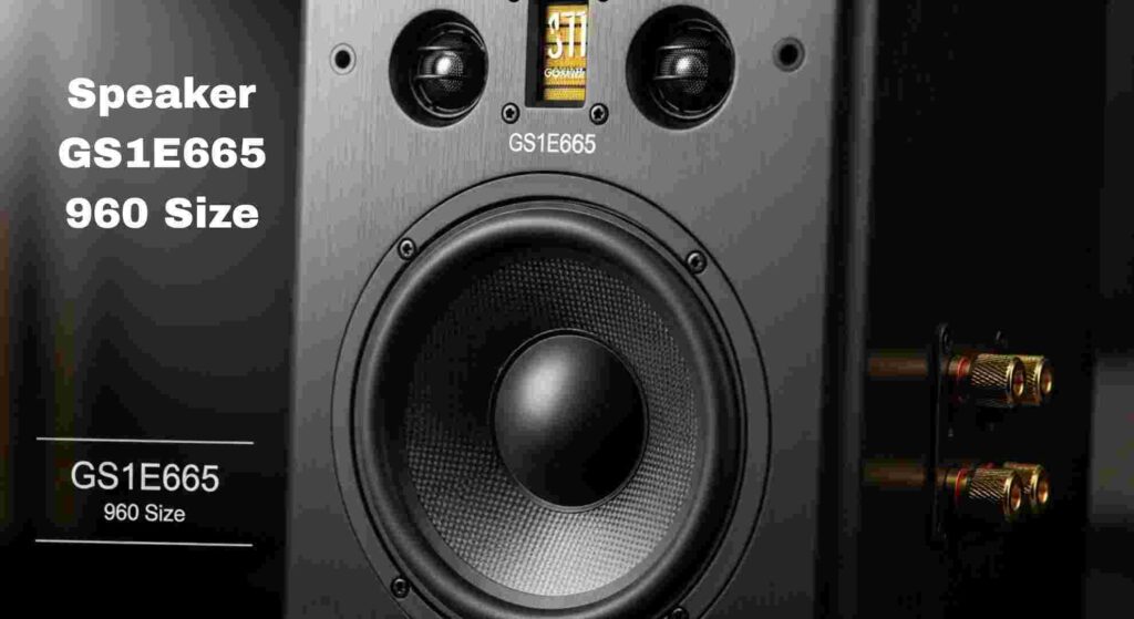 Speaker GS1E665 960 Size